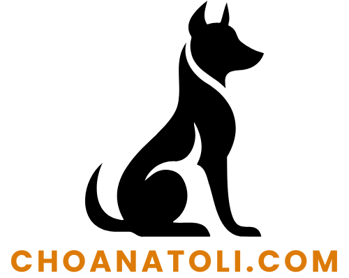 choanatoli.com